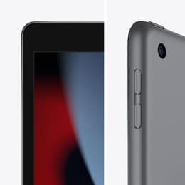 iPad 10.2 (2021) 256GB - Space Gray - (Wi-Fi)