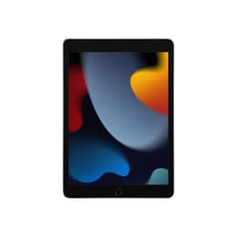 iPad 10.2 (2021) 256GB - Space Gray - (Wi-Fi)