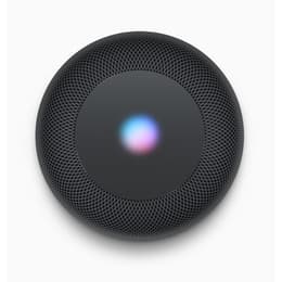 Apple HomePod Bluetooth speakers - Space Gray