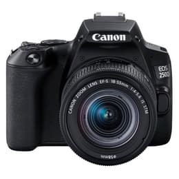Camera Canon EOS Rebel 250D