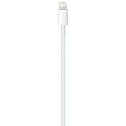 USB-C to Lightning Cable (1 m)