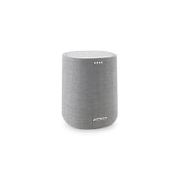Harman Kardon Kardon Citation ONE Smart Bluetooth speakers - Gray