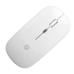 Powerp Wireless Optical Mouse Mouse Wireless