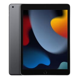 iPad 10.2 (2021) 256GB - Space Gray - (Wi-Fi + GSM/CDMA + LTE)