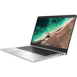 HP Elite C645 G2 Ryzen 5 3.3 ghz 256gb SSD - 16gb QWERTY - English