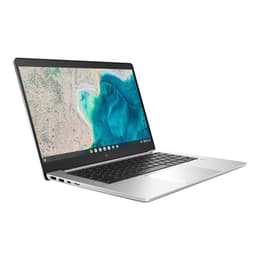 HP ChromeBook Elite c640 G3 Celeron 7305 1.1 GHz 64 GB eMMC - 8 GB