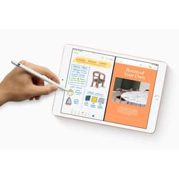 Apple iPad (10.2-inch, Wi-Fi, 128GB, 8th Generation)- Space Gray (Renewed)
