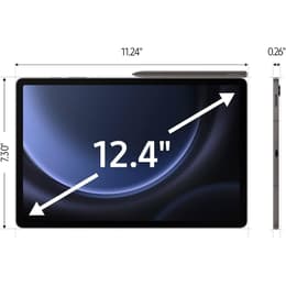 Galaxy Tab S9 FE+ 256GB - Gray - (Wi-Fi)