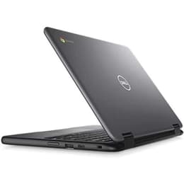 Dell ChromeBook 3100 Celeron N4020 1.1 GHz 16 GB SSD - 4 GB