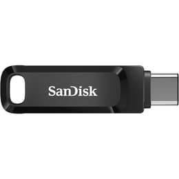 Sandisk SDDDC3-256G-G46 Flash Drive