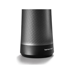 Harman Kardon Invoke BT Bluetooth speakers - Black/Gray