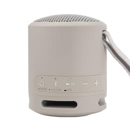 Sony SRSXB13/TP Bluetooth speakers - Gray