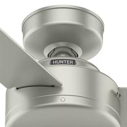 Hunter CC5C08C12 Fan