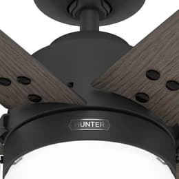 Hunter CC5C21C04 Fan
