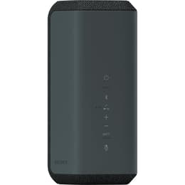 Sony SRSXE300B Bluetooth speakers - Black