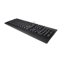 Lenovo Keyboard QWERTY Preferred Pro II Wired External USB