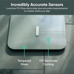 Wyze WHSCL1 Weighing scale