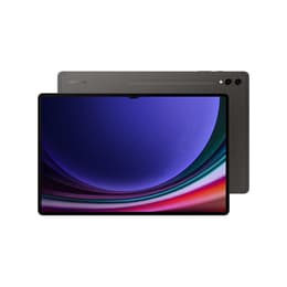 Galaxy Tab S9 Ultra 256GB - Gray - (Wi-Fi)