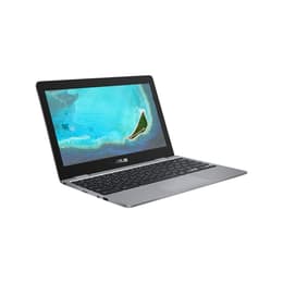 Asus ChromeBook CX22NA Celeron N3350 1.1 GHz 16 GB eMMC - 4 GB