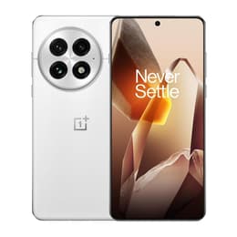 OnePlus 13 • Unlocked