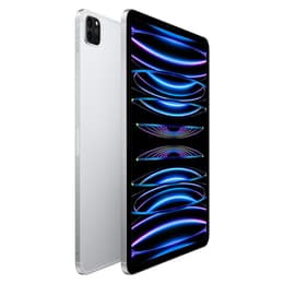 iPad Pro 11-inches (2022) 4th gen 2000 GB - Wi-Fi + 5G - Silver