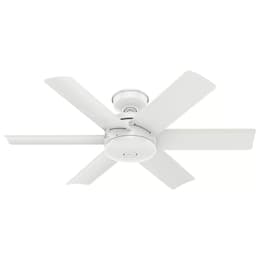 Hunter CC5C11C71 Fan