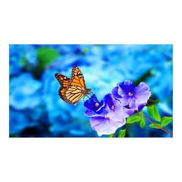 Nec 55-inch Monitor LCD (UN552VS)