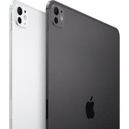iPad Pro 11 M4 (2024) 1000GB - Silver - (Wi-Fi + 5G) with Nano-texture display