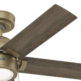 Hunter CC5C17C06 Fan