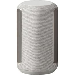 Sony 360 Reality Audio Bluetooth speakers - Silver