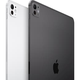 iPad Pro 11 M4 (2024) 1000GB - Space Black - (Wi-Fi)