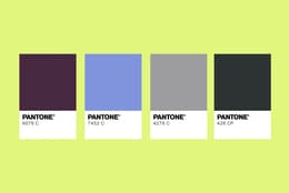 An image showing the iPhone 18 with its potential colors side by side (Dark Cherry, Light Blue, Dark Gray, Silver).