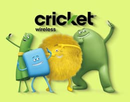 An image of Cricket Wireless family plan setup
