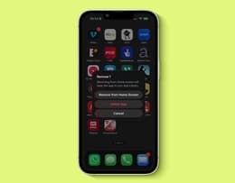 An iPhone “Remove App” screenshot.
