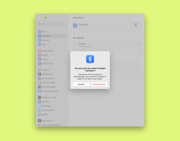 Screenshot of Bluetooth settings on macOS with an arrow pointing to “Forget This Device.”