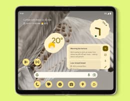 An image of the Pixel 9 Pro Fold