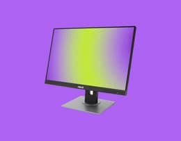 The Asus ProArt Monitor LED