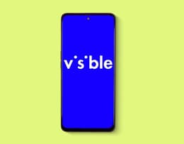 An image of Visible branding or app interface