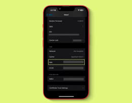 iPhone screen showing “IMEI” in Settings.
