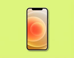 Front-facing iPhone 12 in blue, with screen turned on displaying a high-definition image with vibrant colors; flat aluminum edges, visible notch at the top of the display, and thin bezels.