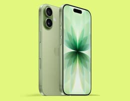 An image of the iPhone 17 in Sage.