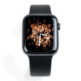 Apple Watch 1st Gen