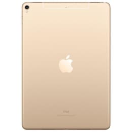 iPad Pro 10.5-inches (2017) 1st gen 256 GB - Wi-Fi - Gold | Back