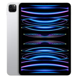 iPad Pro 11-inches (2022) 4th gen 256 GB - Wi-Fi - Silver | Back