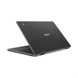 Asus ChromeBook C204 Celeron N4000 1.1 GHz 32 GB eMMC - 4 GB