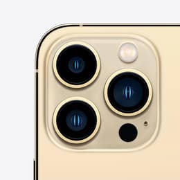 iPhone 13 Pro Max 1000GB - Gold - Unlocked | Back Market