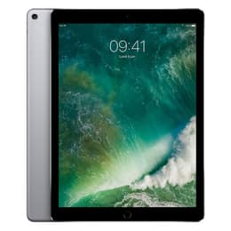 iPad Pro 12.9-inches (2017) 2nd gen 256 GB - Wi-Fi - Gold | Back