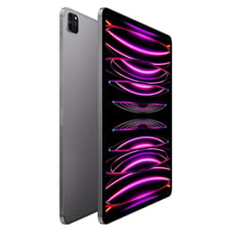 iPad Pro 12.9-inches (2022) 6th gen 512 GB - Wi-Fi - Space Gray