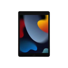 iPad 10.2-inches (2021) 9th gen 64 GB - Wi-Fi + 4G - Silver | Back