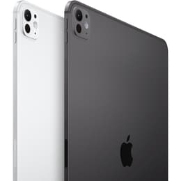 iPad Pro 13-inches (2024) 7th gen 256 GB - Wi-Fi + 5G - Space